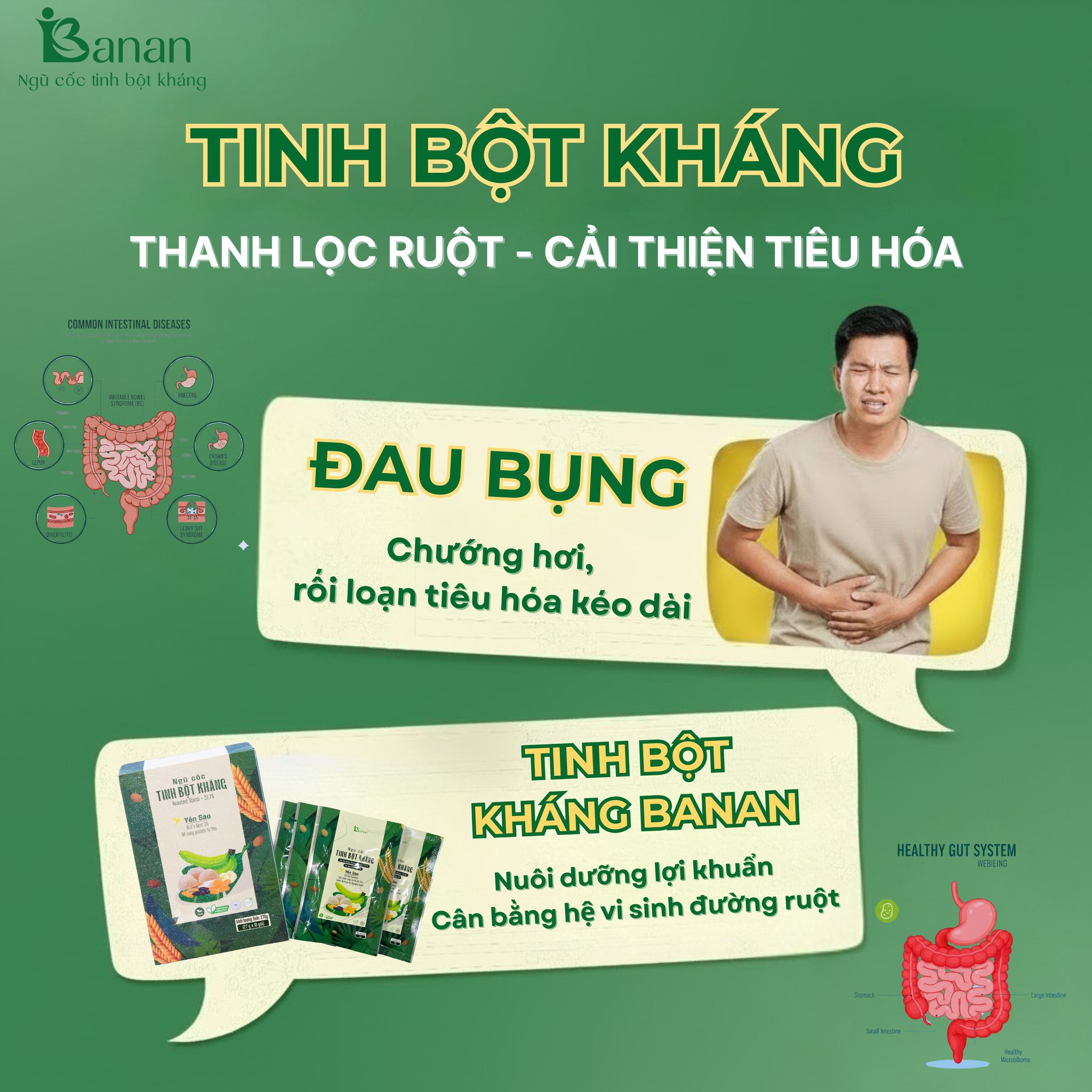 Tinh bột kháng giúp cải thiện hệ tiêu hóa